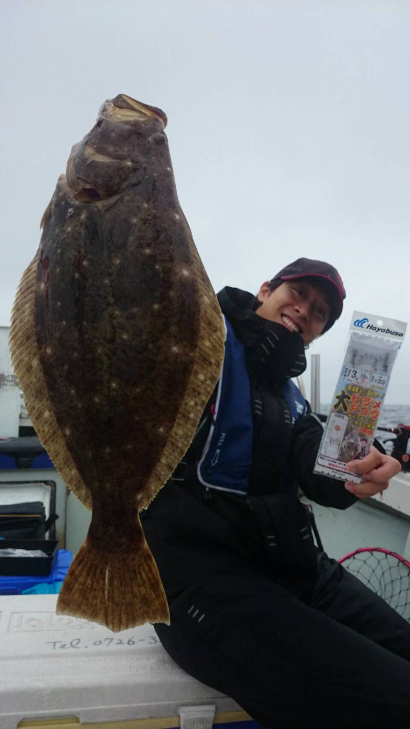 アコウヒラメ呑ませ釣り