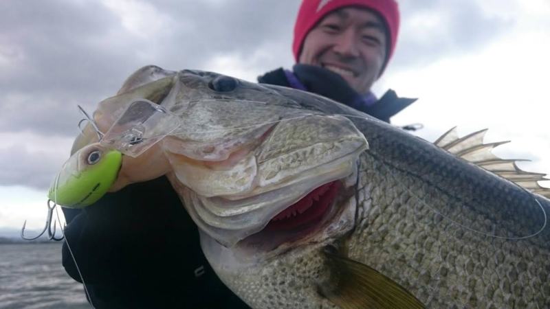 初冬の琵琶湖