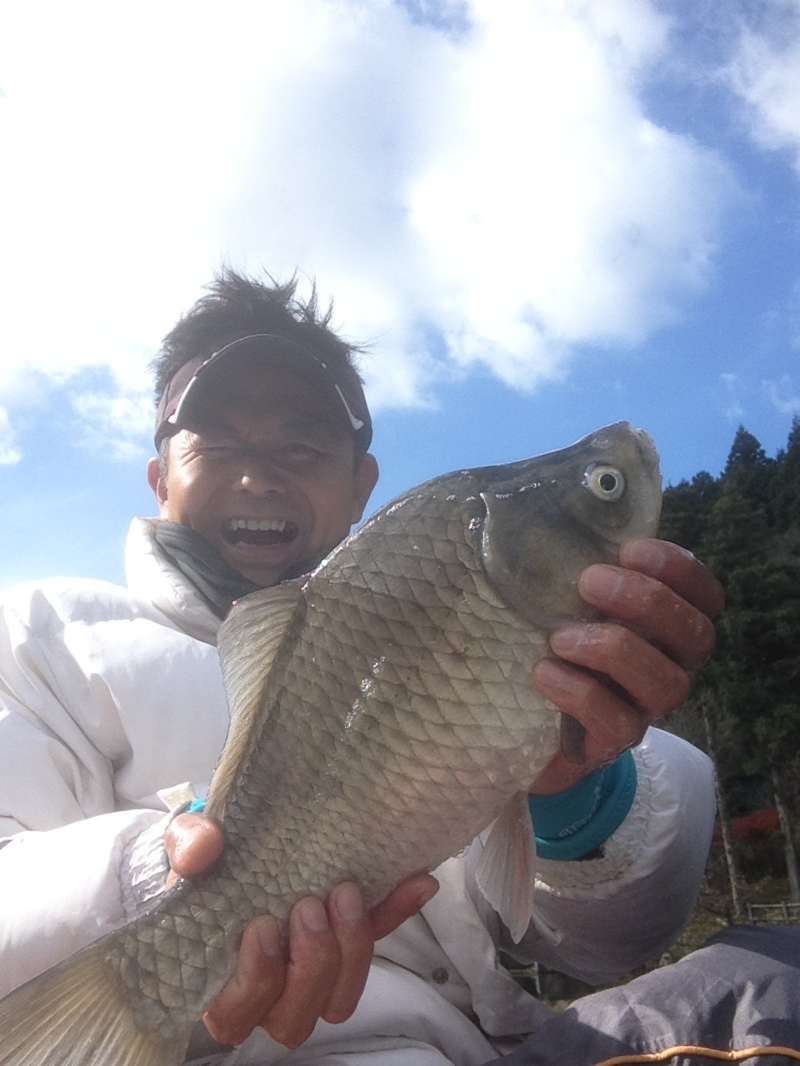 長谷大池のヘラブナ