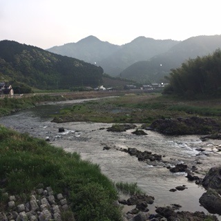 三重県 大内山川  鮎釣り