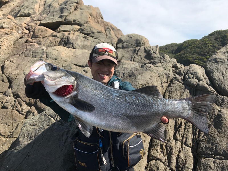 和歌山 ヒラスズキ釣り