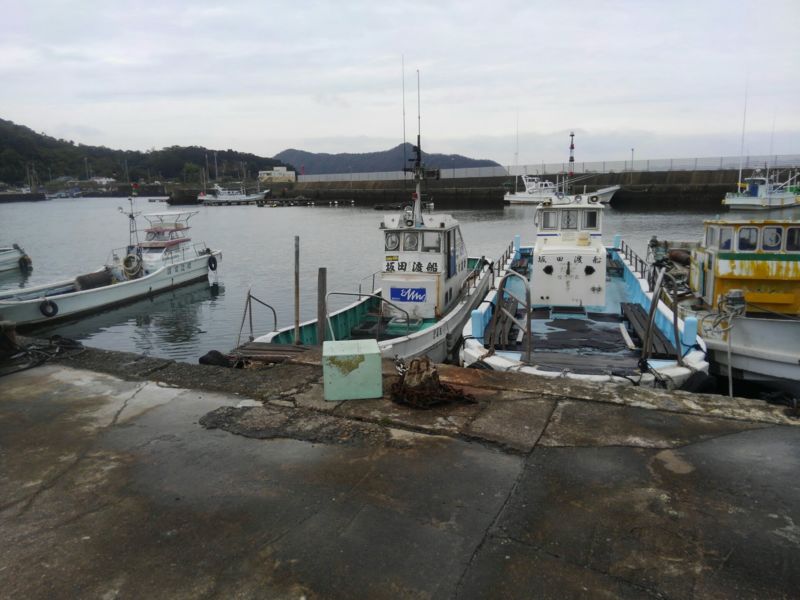 夢の石鯛釣行