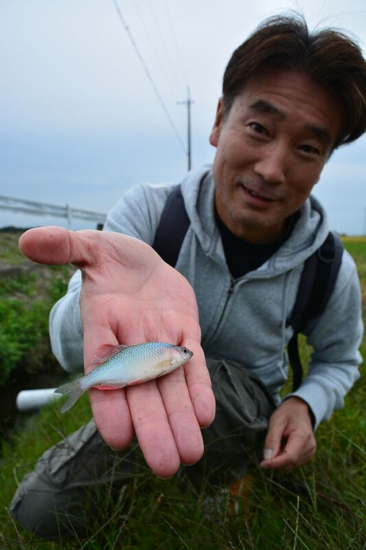 日本の原風景を求めて vol2.