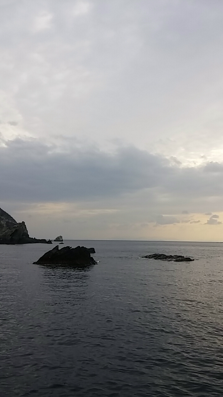 沼島釣行