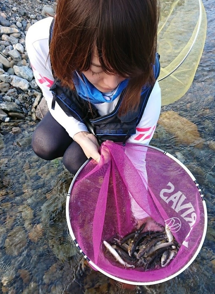 夏の安曇川朽木へ