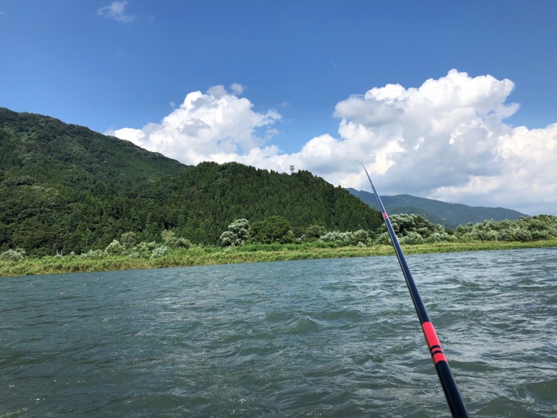 九頭龍川鮎釣行