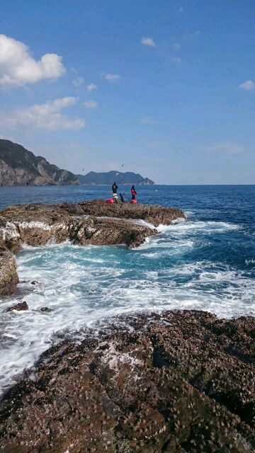 噂の錦へ磯釣りに行ってきました!