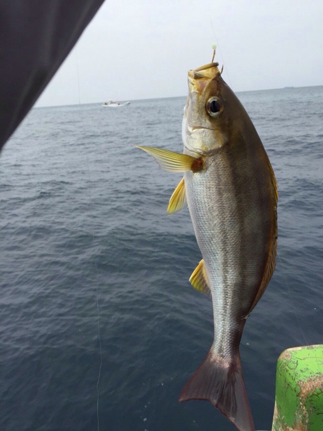 タイを狙って初めての船釣り!