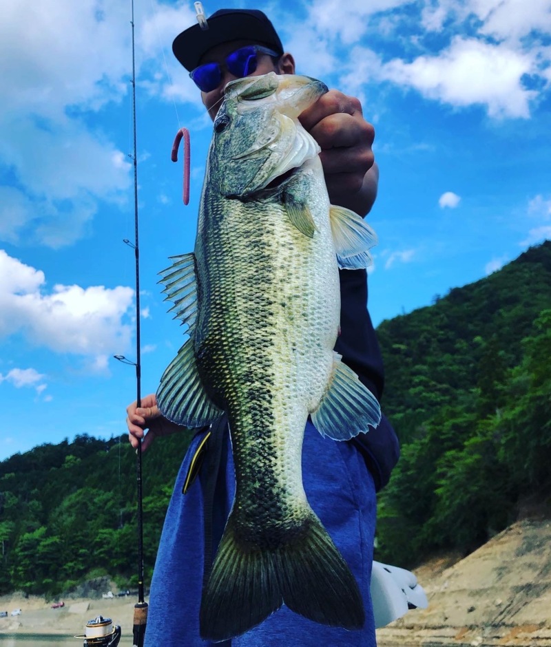 5月最後の池原ダム釣行