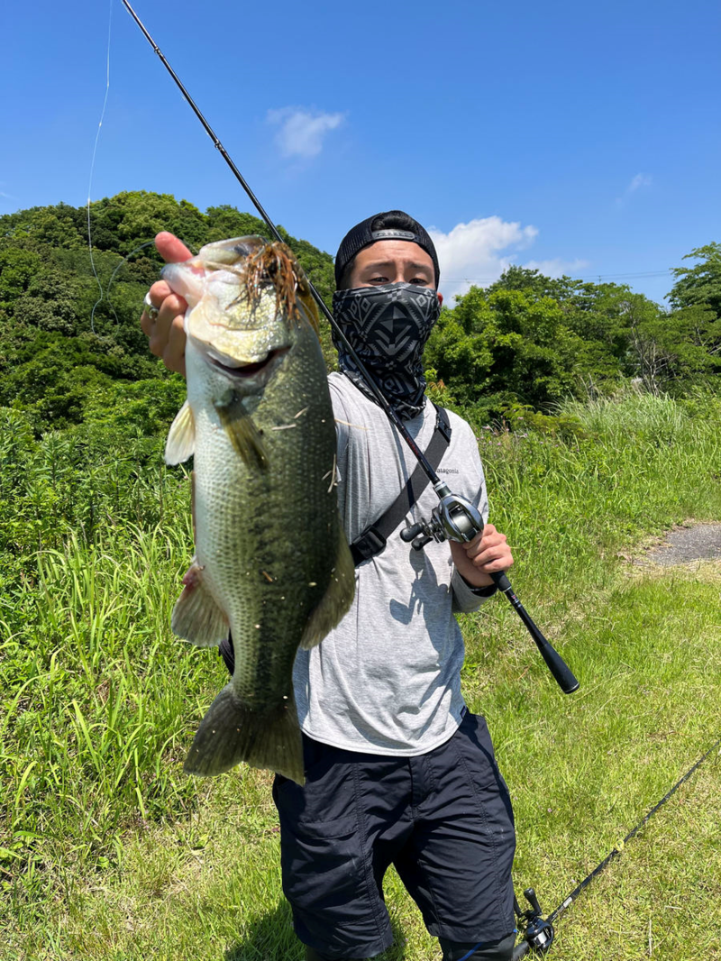 癒しの淡路島おかっぱりバス