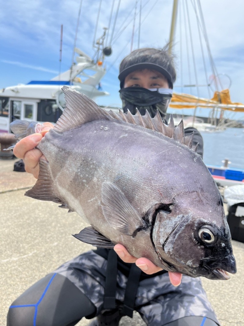 石鯛を求めて・・・