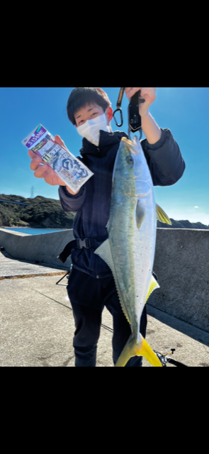 淡路島 サビキ&飲ませ釣り