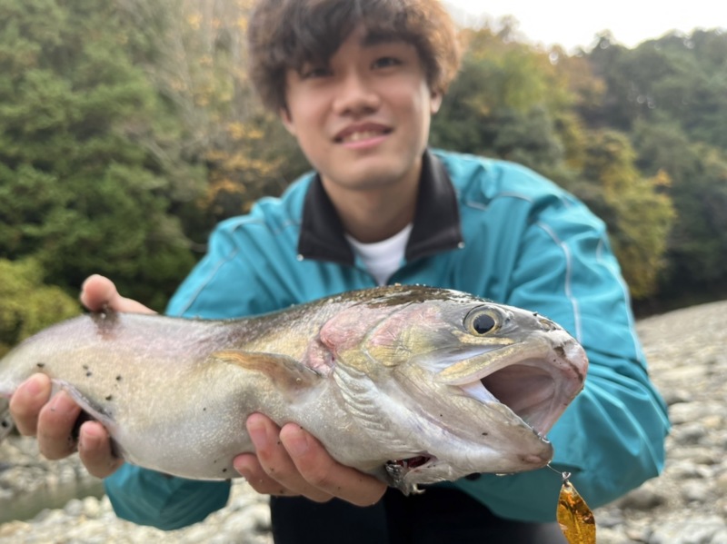 芥川トラウト釣行