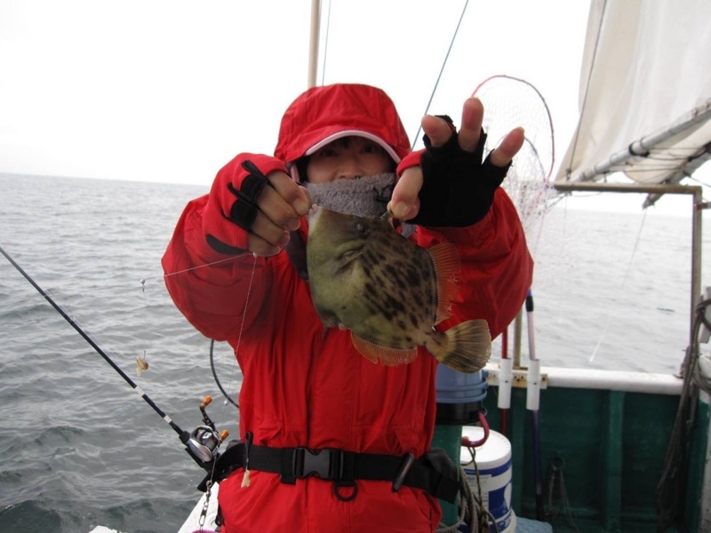 和歌山でカワハギ釣り