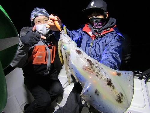 田辺湾で春のデカアオリ