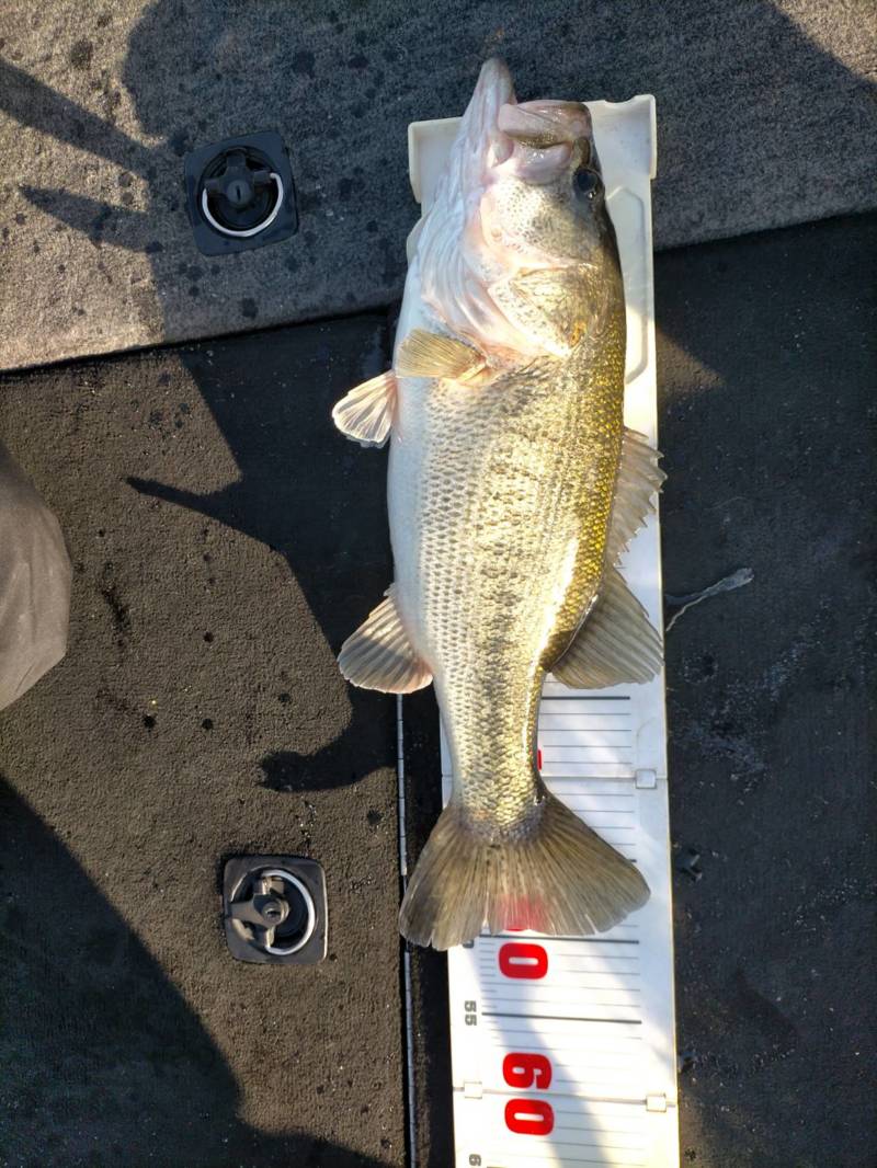 早春の琵琶湖ボート釣行