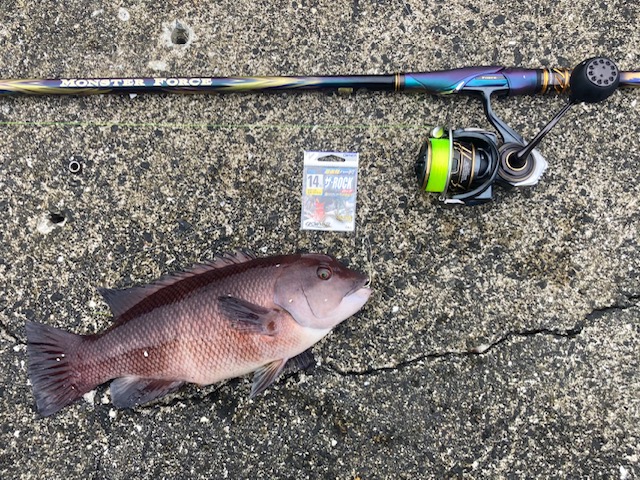 和歌山県 中紀のかぶせ釣りチャレンジ!