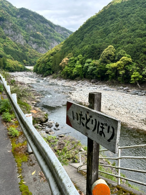 宮川上流 鮎