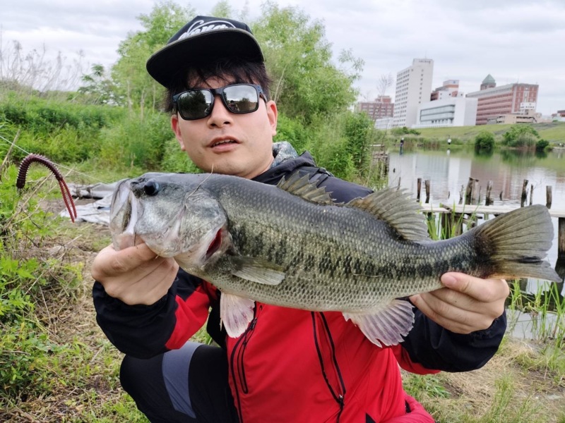 淀川 城北ワンド釣行