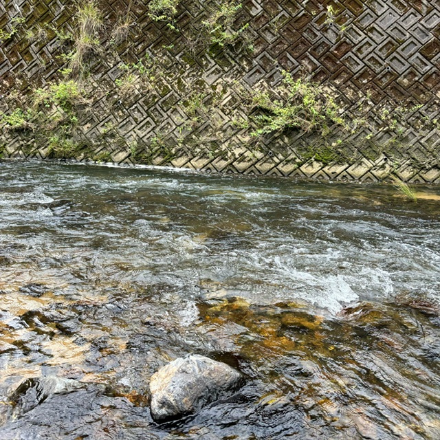 一庫大路次川 鮎 Ⅱ