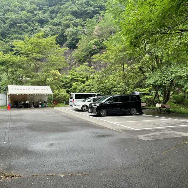 兵庫県 大路次川 鮎