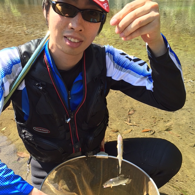 有田川鮎釣り解禁!