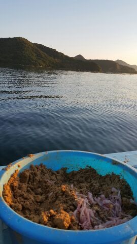 鳴門のカセでカカリ釣り