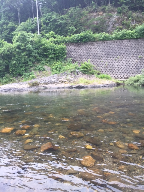 福井県南川解禁