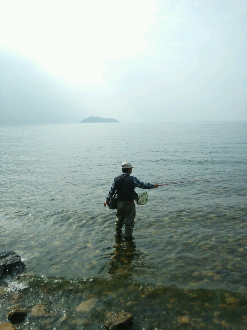 琵琶湖湖北の小鮎