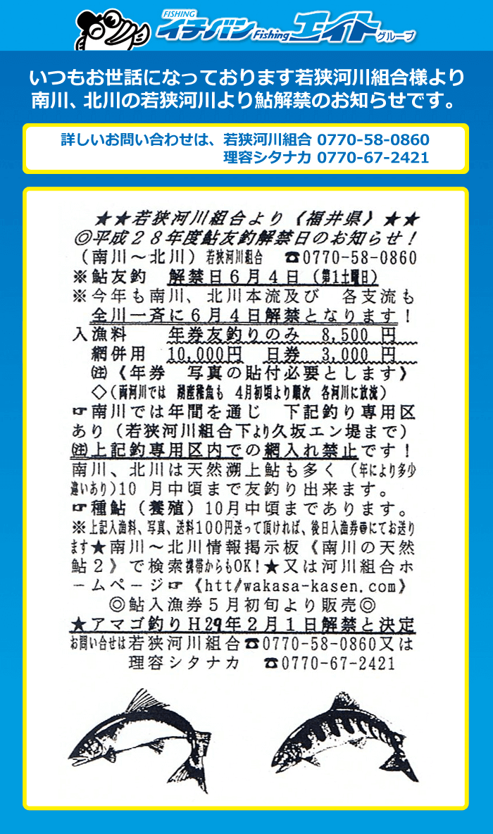 南川、北川の若狭河川より鮎解禁のお知らせ