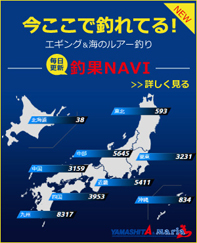 毎日更新！釣果ナビ